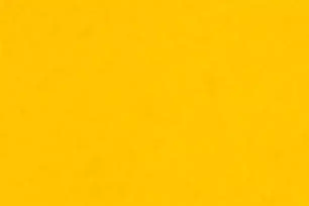 ABOUT 
WORD DRIVEN MISSION